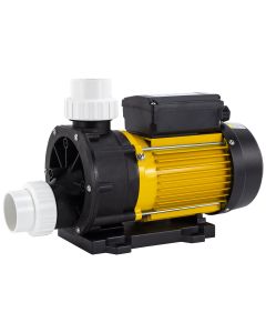 LX TDA100 Whirlpool Zirkulationspumpe 1 PS