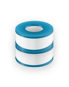 W'eau Whirlpool-Filter type 106 (z.B. SC806) - 2 Stück