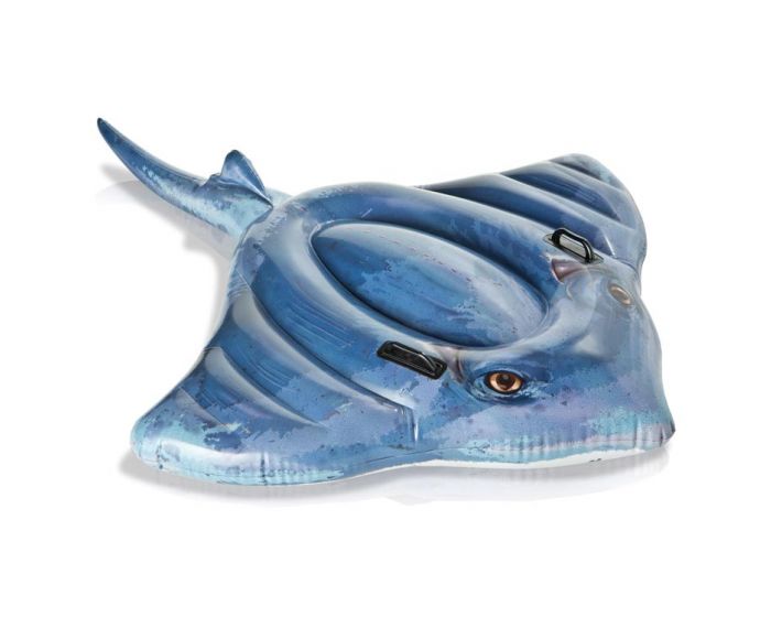 Intex aufblasbarer Roggen
